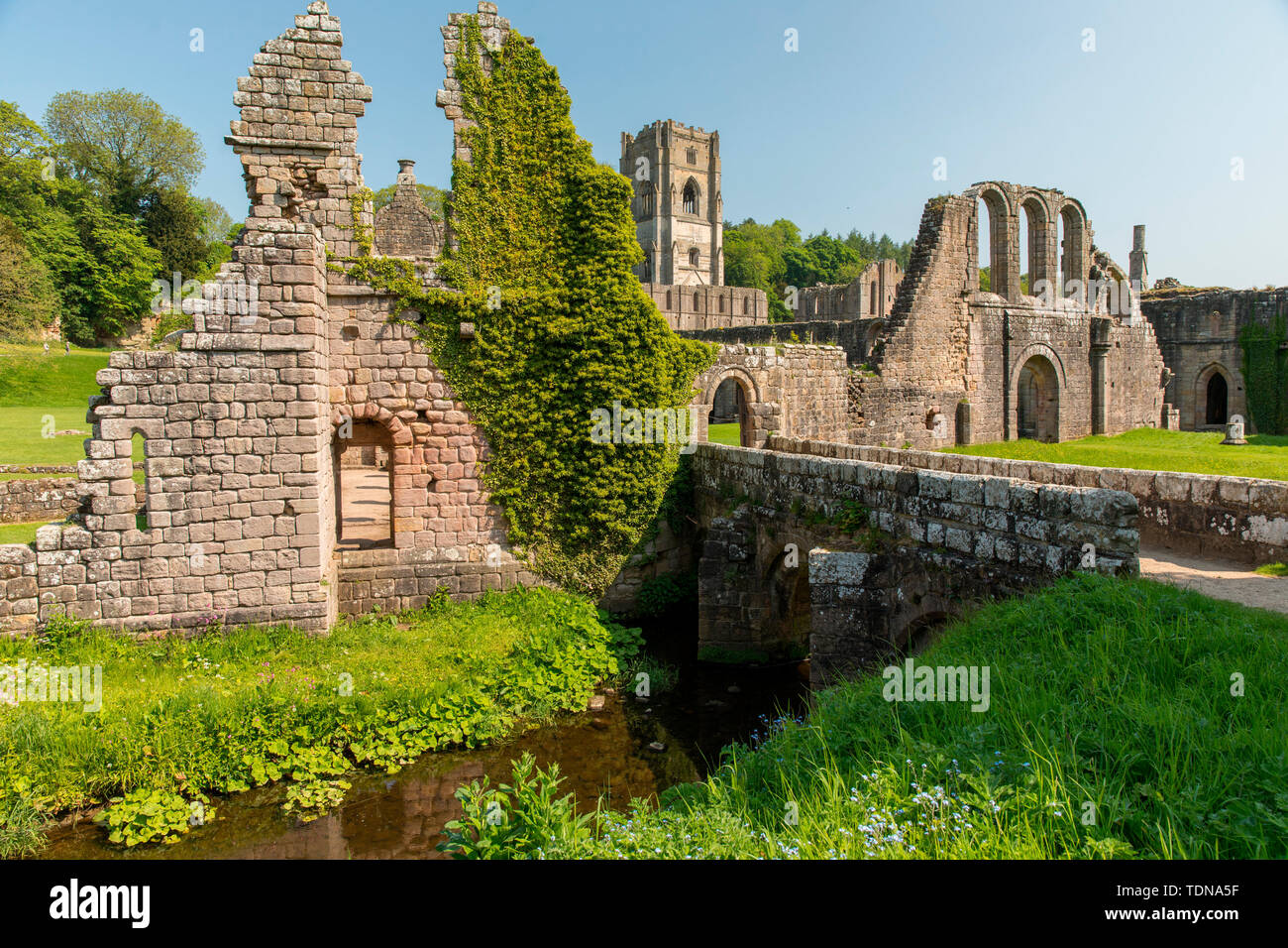 Fountains Abbey, Yorkshire Dales NP, Yorkshire, UK Stock Photo