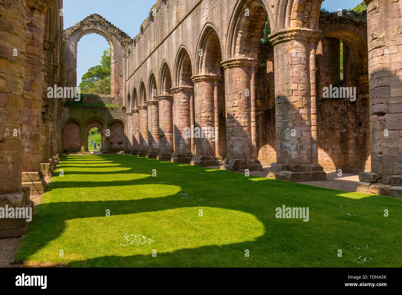 Fountains Abbey, Yorkshire Dales NP, Yorkshire, UK Stock Photo