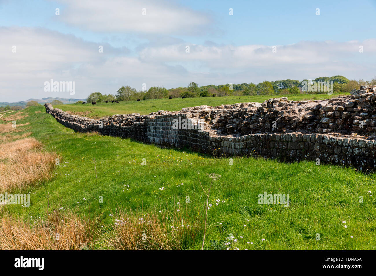 Birdoswald Roman Fort, Northumbria, UK Stock Photo