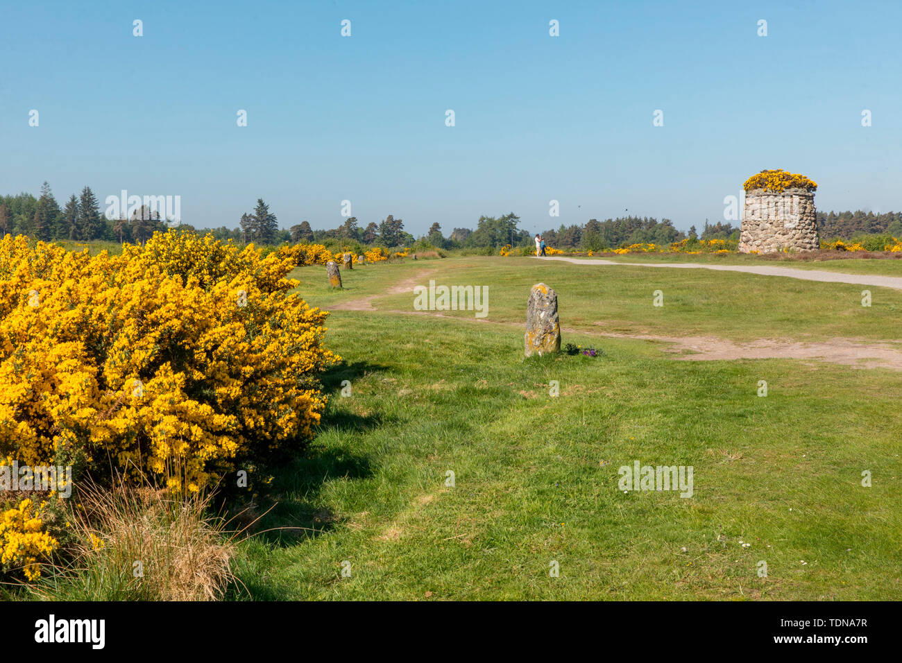 Culloden Battlefield, Highlands, Scotland, UK Stock Photo