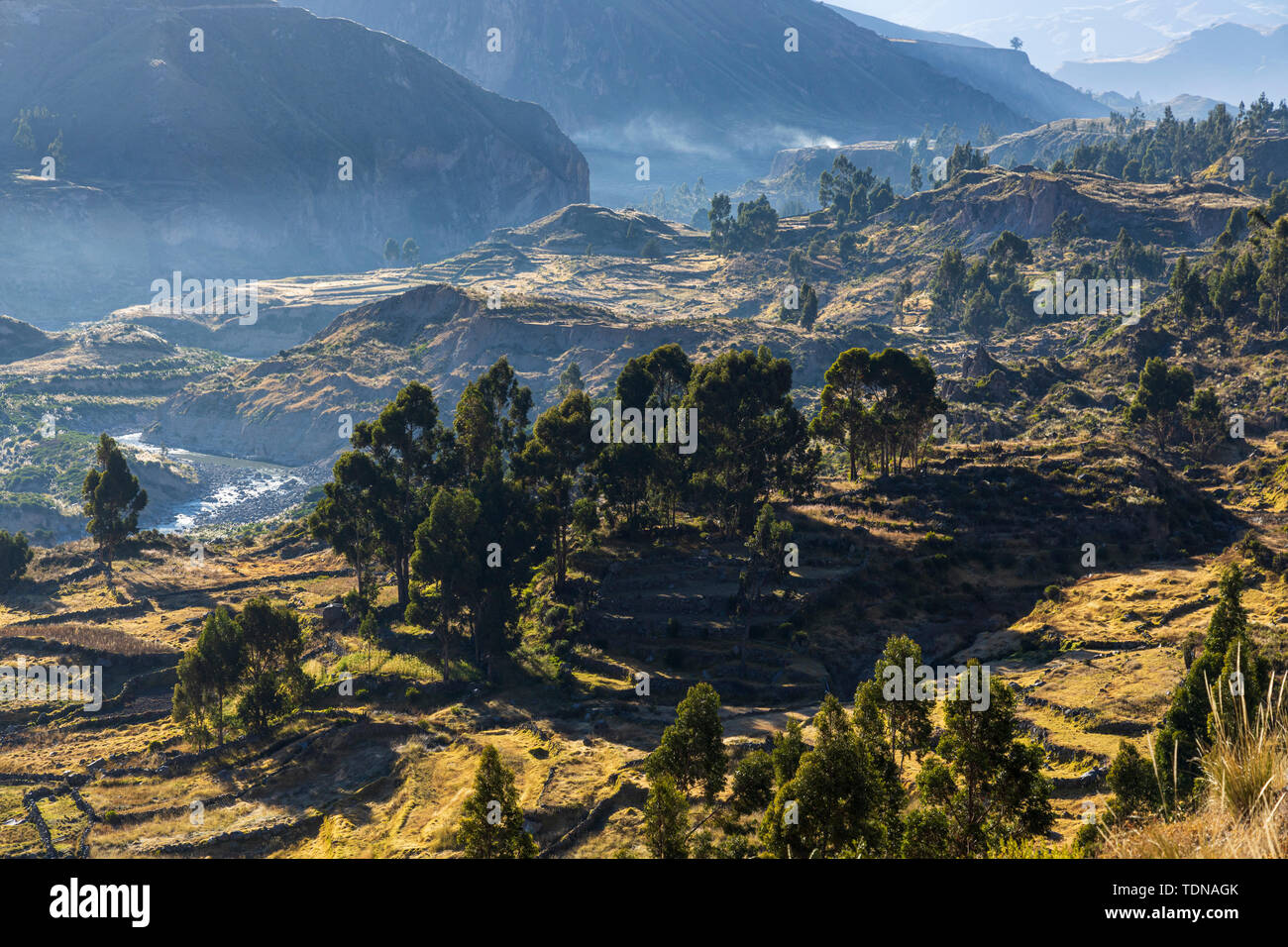 Agricultural Terraces In The Colca Canyon, Valley Viewed From The ...