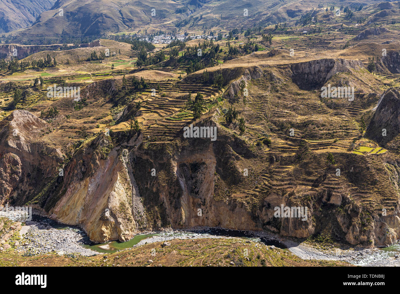 Agricultural terraces in the Colca Canyon, valley viewed from the Mirador Antahuilque, Peru, South America. Stock Photo