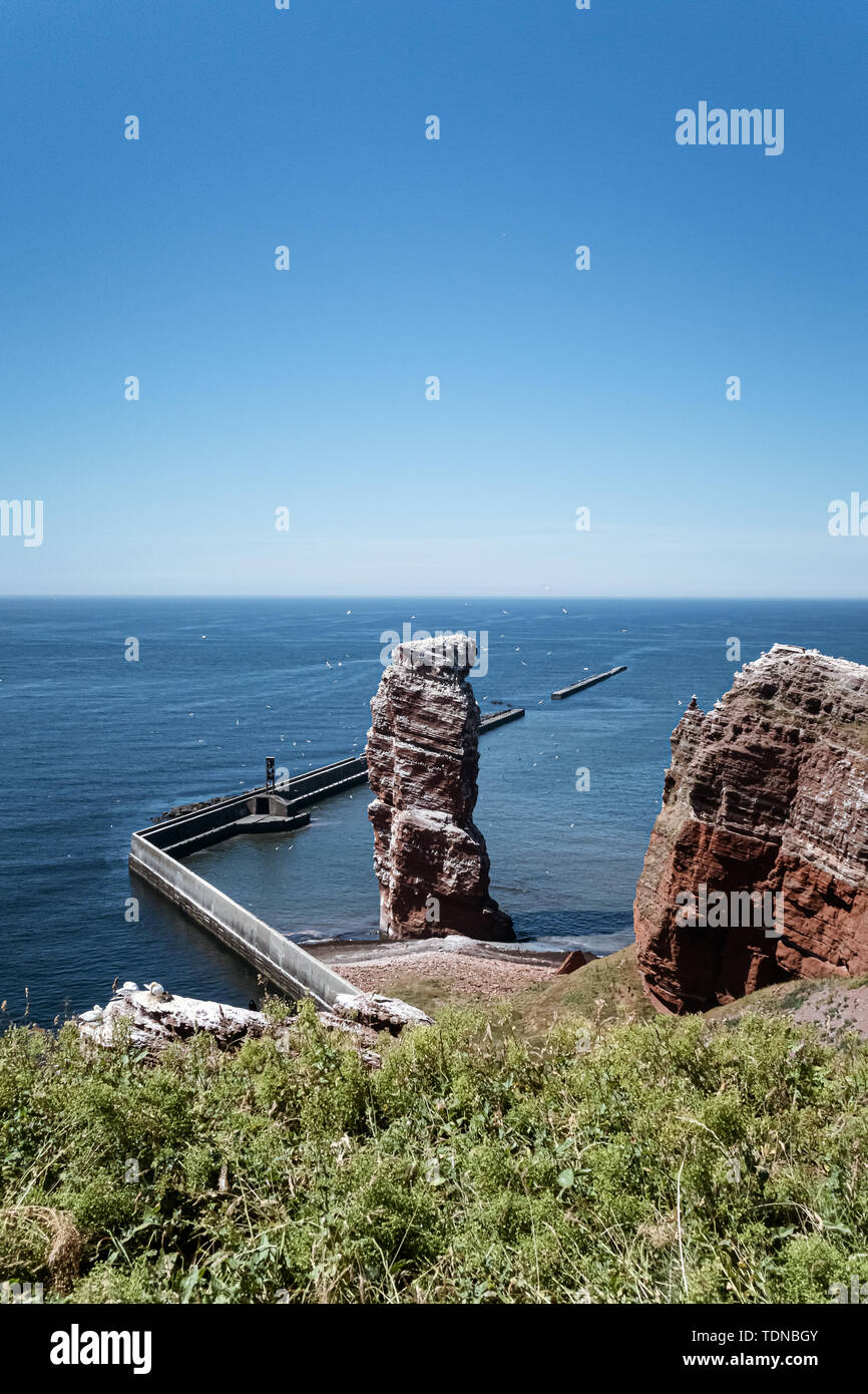 high sea stack Lange Anna on Heligoland island, Germany surrounded by flying birds on sunny summer day Stock Photo