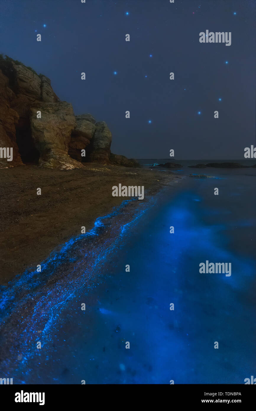 Dalian Luoshun Fluorescent Sea Stock Photo