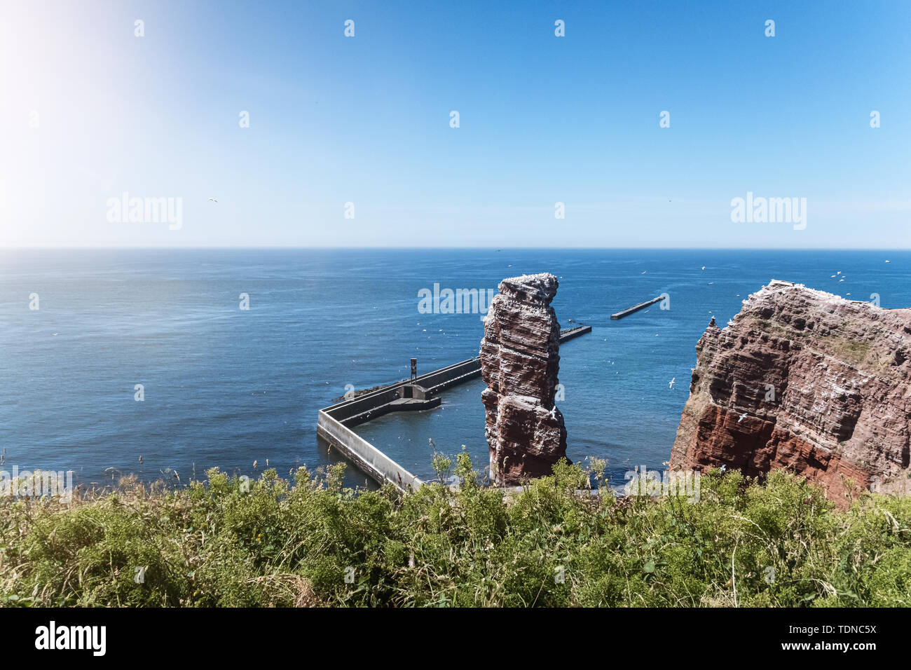 high sea stack Lange Anna on Heligoland island, Germany surrounded by flying birds on sunny summer day. Stock Photo