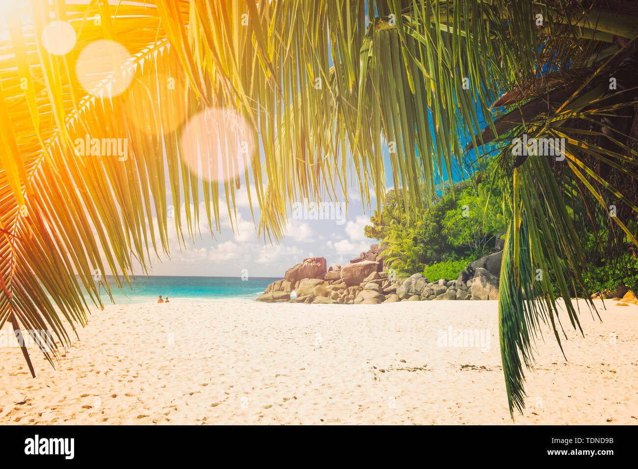 Art Beautiful sunset over the tropical beach vintage toning Stock Photo ...