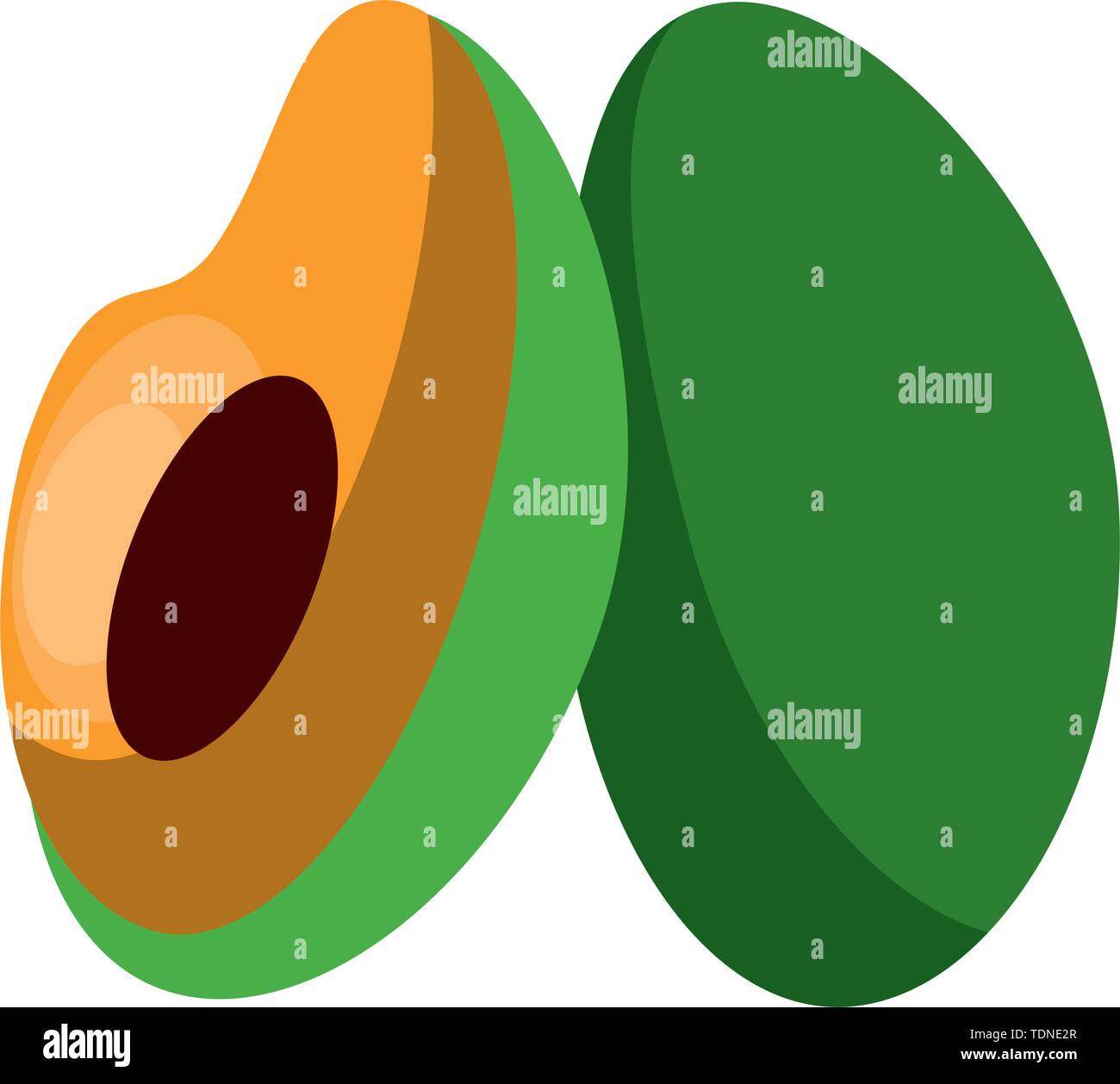Fresh avocado half cut vegetable isolated Stock Vector Image & Art - Alamy