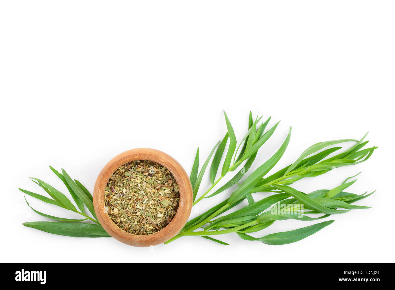 tarragon or estragon fresh and dried isolated on a white background
