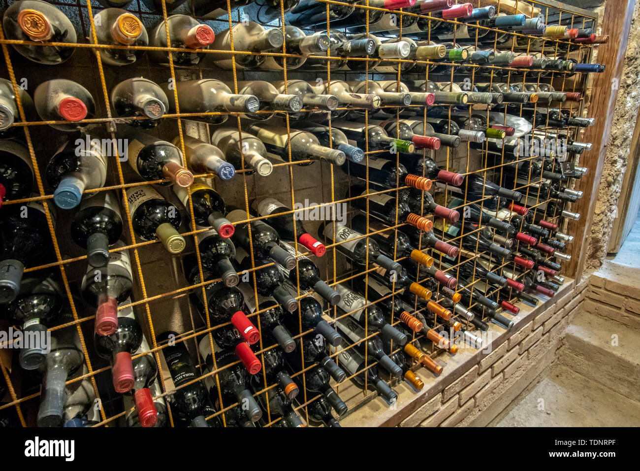 Very Old Bottles of Wine Aging in Underground Wine Cellar in basement