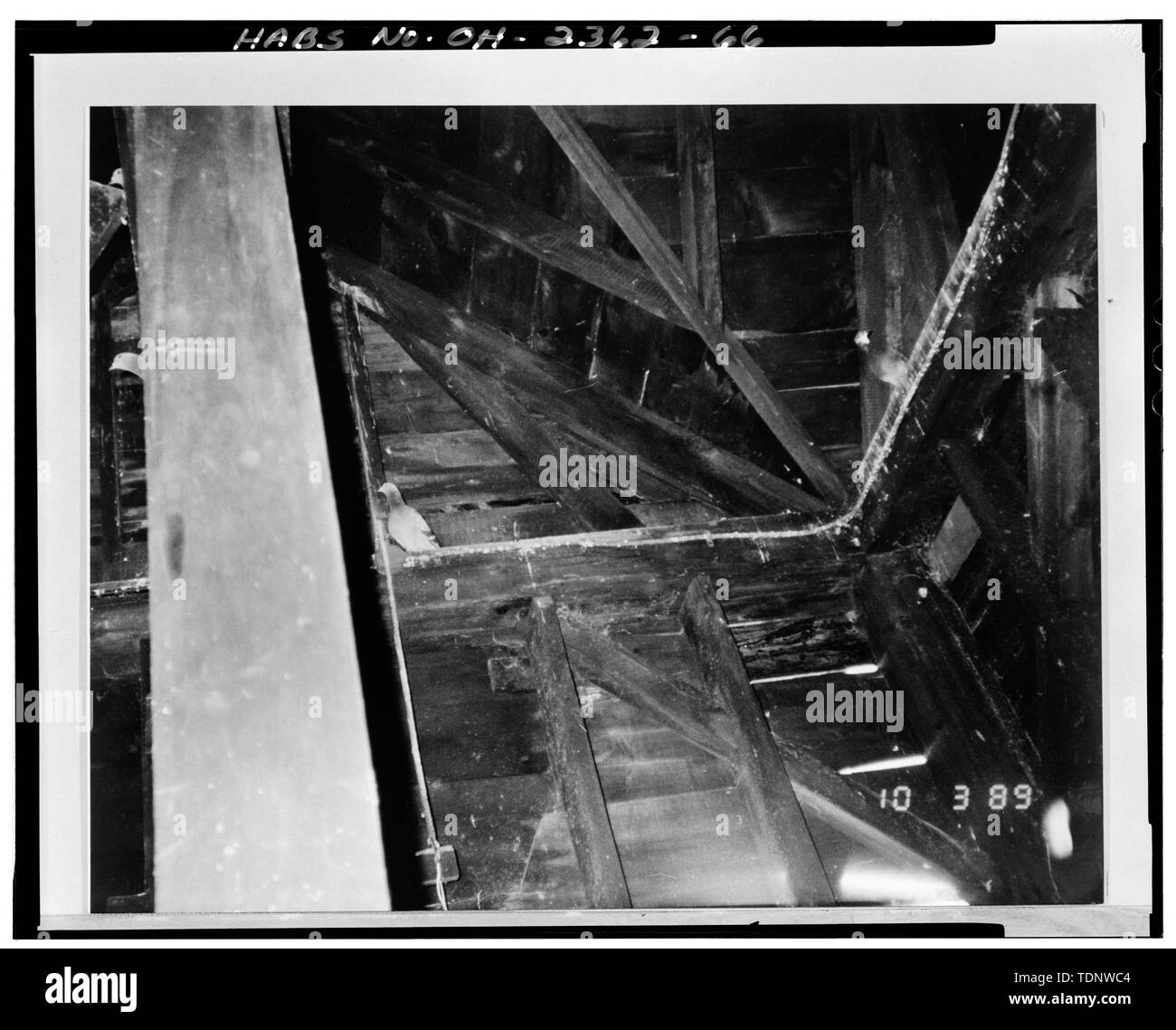 Photocopy of Photograph (from Planning Resources File, October 3, 1989