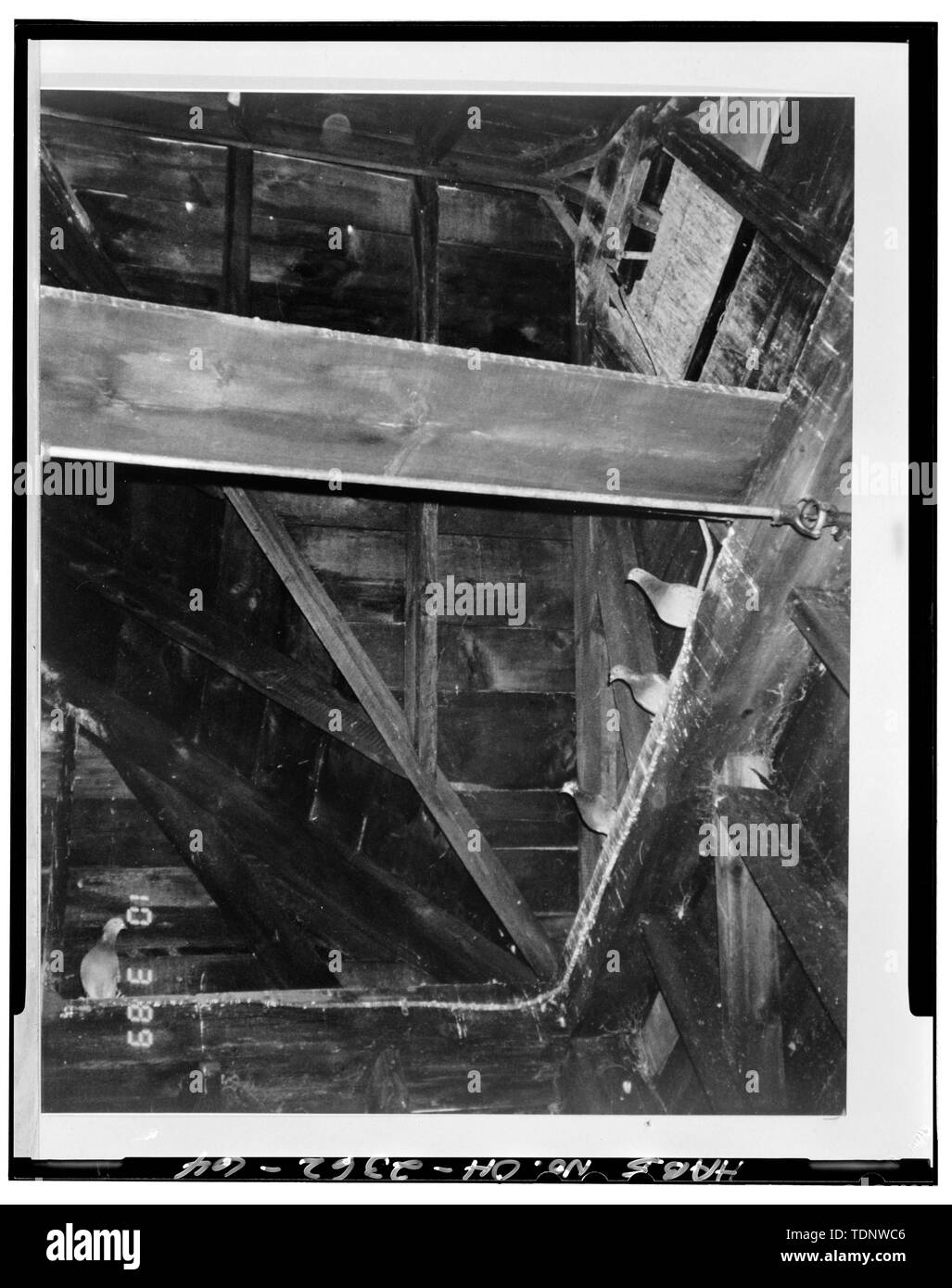 Photocopy of Photograph (from Planning Resources file, October 3, 1989