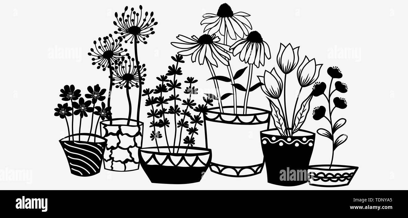 Echinacea, chamomile, schefler, noble hepatica, zephyrantes, stokesia in pots Vector icon on white background Stock Vector