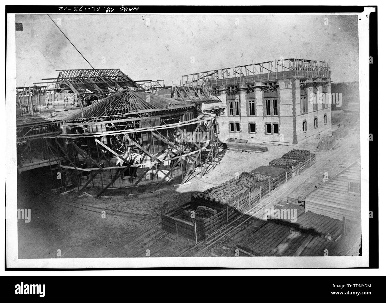 Leon king Black and White Stock Photos & Images Alamy