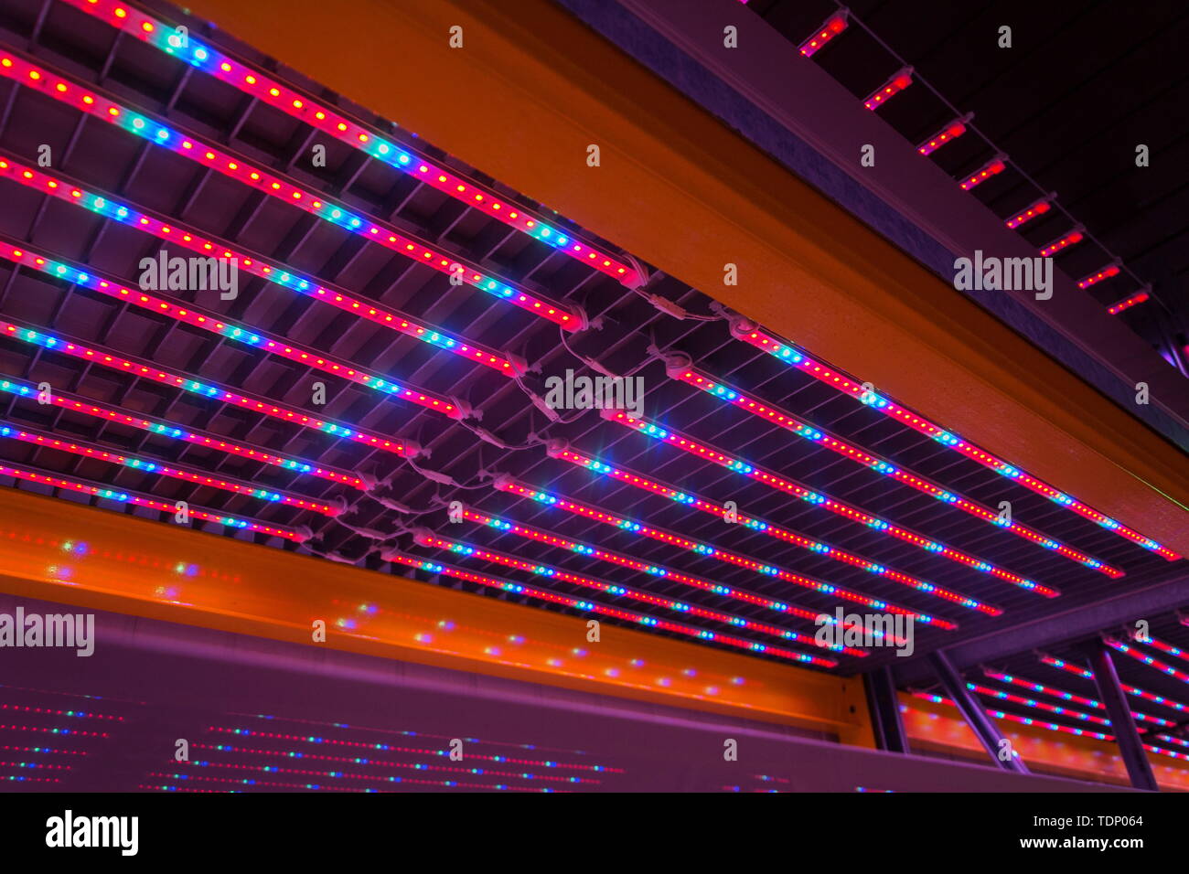 Special red white and blue LED lights belts above empty shelves in