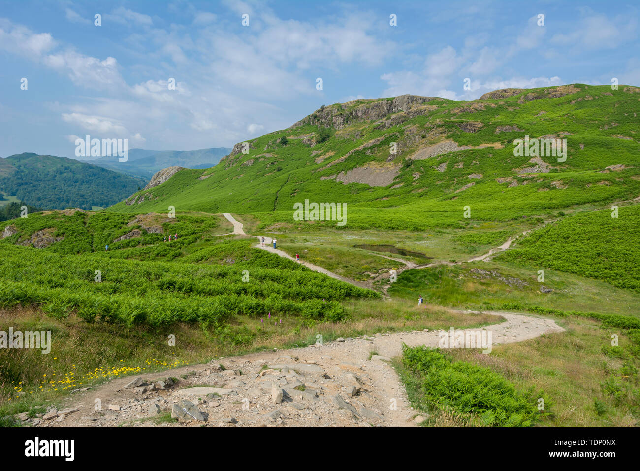Loughrigg Fell in the Lake District National Park, Cumbria, England. Stock Photo