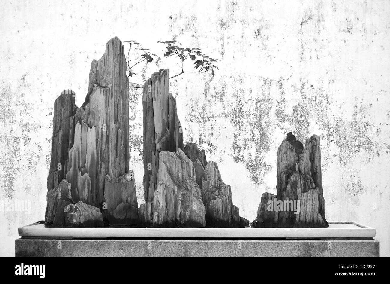 Traditional Chinese Painting Black And White Stock Photos Images