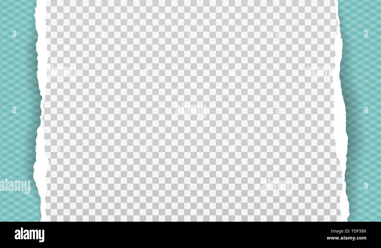 Piece of white torn paper strip with squared pattern and soft shadow is ...