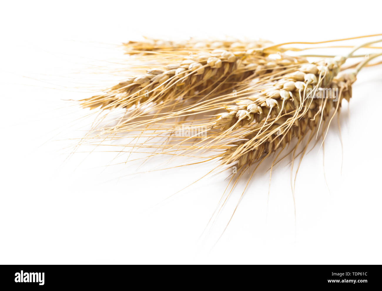 wheat ears isolated on white background Stock Photo - Alamy
