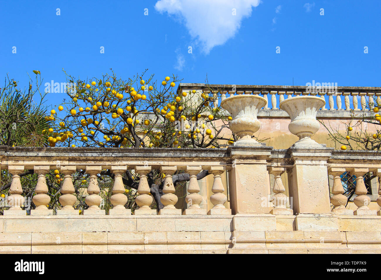 Lemon tree on historical terrace on Piazza Duomo Square in Syracuse, Sicily, Italy. The main historical square is located on famous Ortigia Island. Popular tourist attraction. Stock Photo