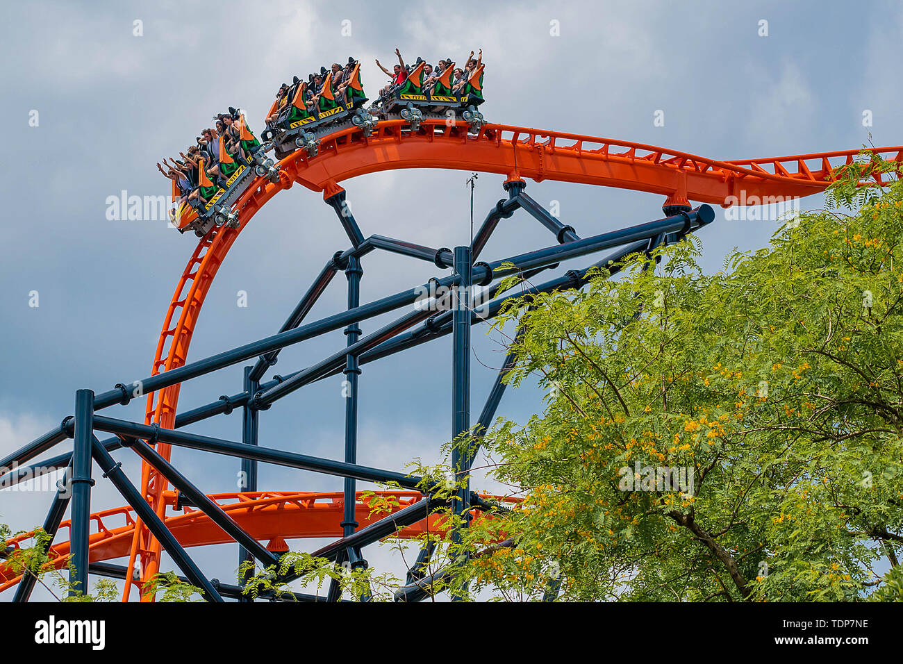 Busch gardens sheikra hi-res stock photography and images - Alamy