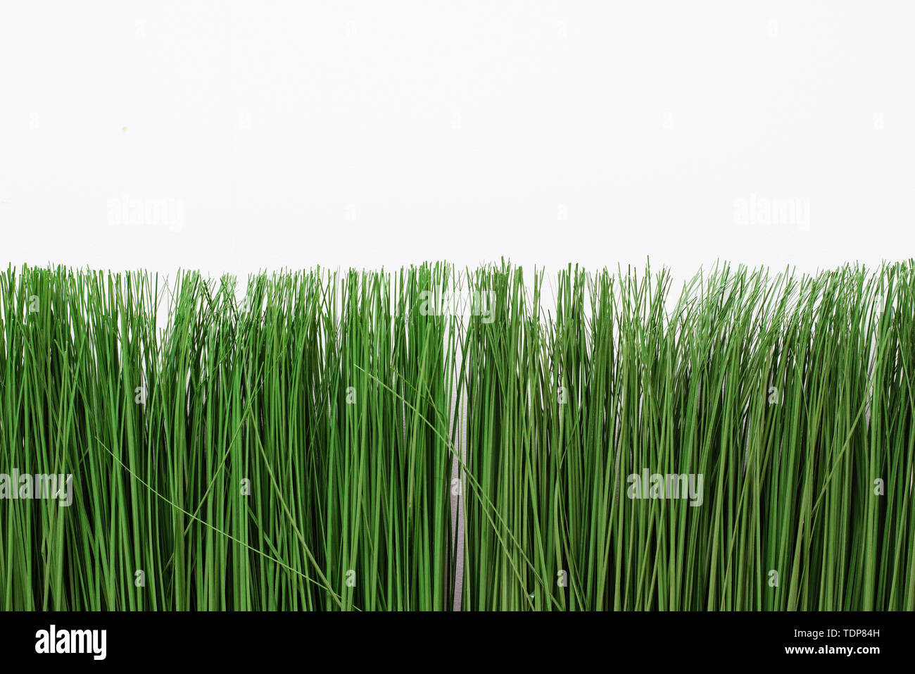 green artificial grass on a white background. Thin grass in a bright