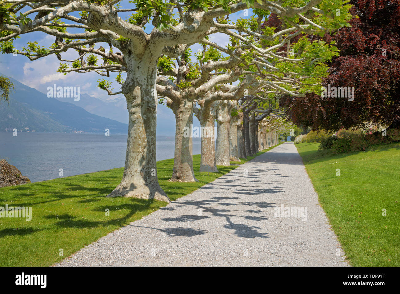 BELAGGIO, ITALY - MAY 10, 2015: The Villa Melzi on the waterfront of Como lake and the gardens. Stock Photo