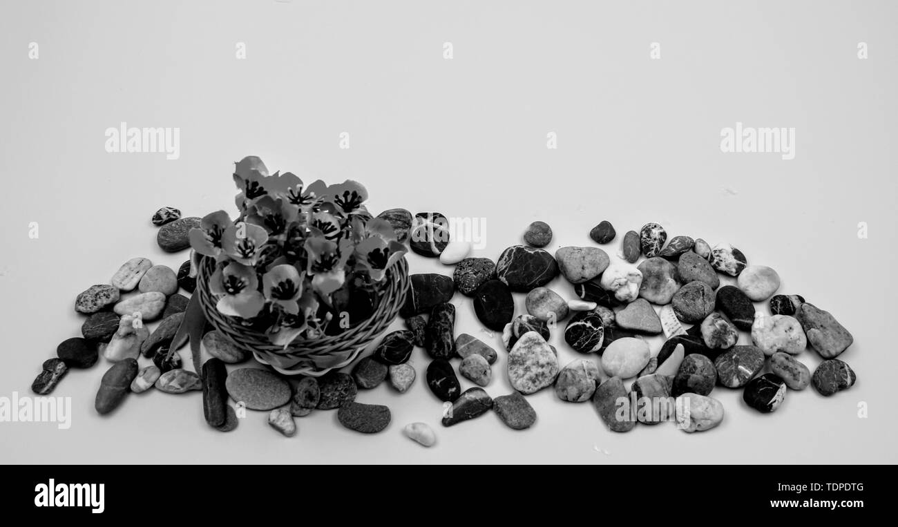 Small wicker basket with bow and flowers in black and white Stock Photo