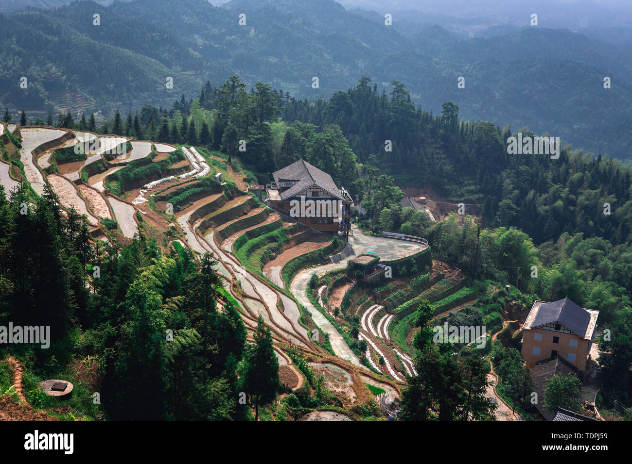 Terraced Terraces of Purple Magpies in Xinhua County, Loudi City, Hunan Province Stock Photo