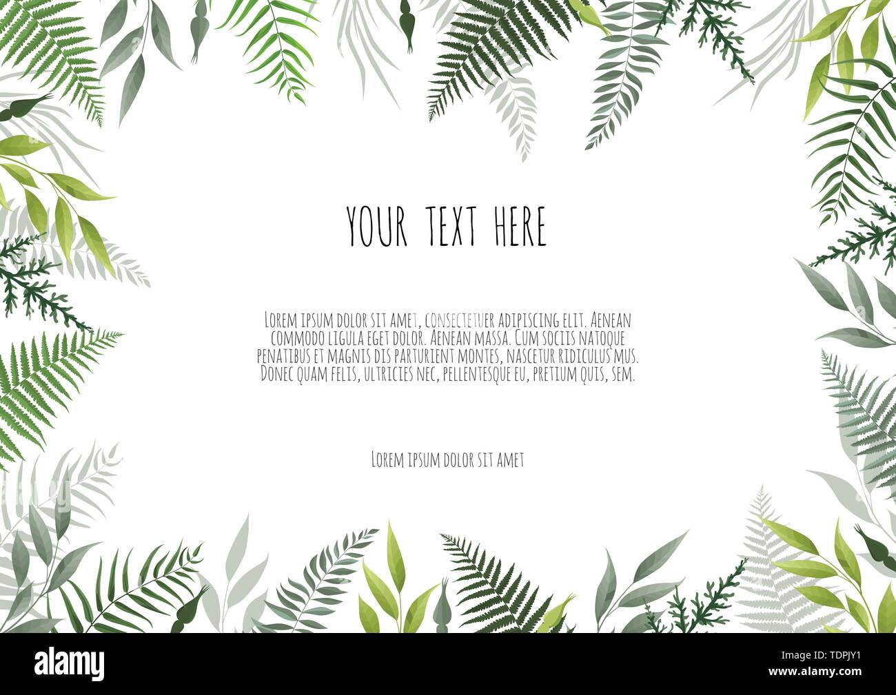 Green leaves border isolated on white background Stock Vector Image ...