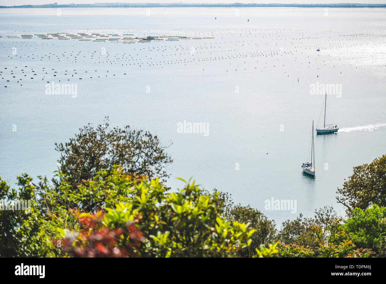 Oyster fishing in the Adriatic Sea; Italy Stock Photo