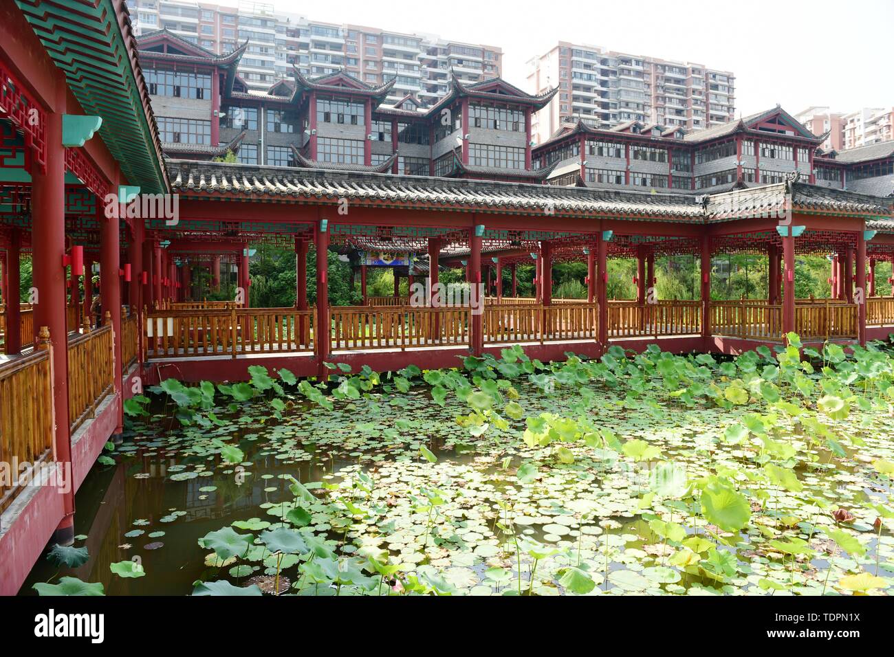 Antique architecture and lotus pavilion lotus Stock Photo Alamy