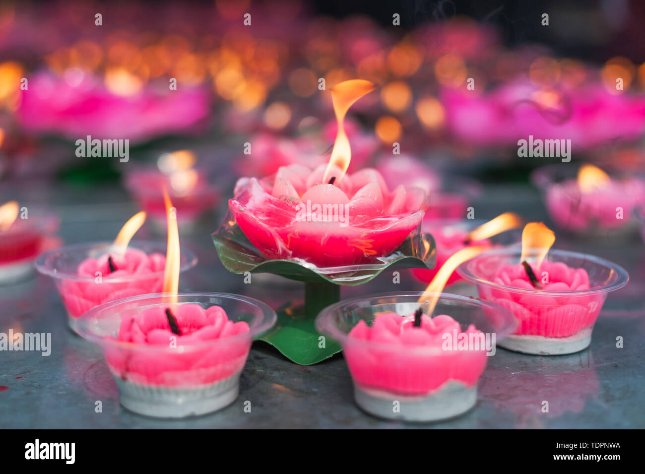 Lotus candles in the temple Stock Photo Alamy