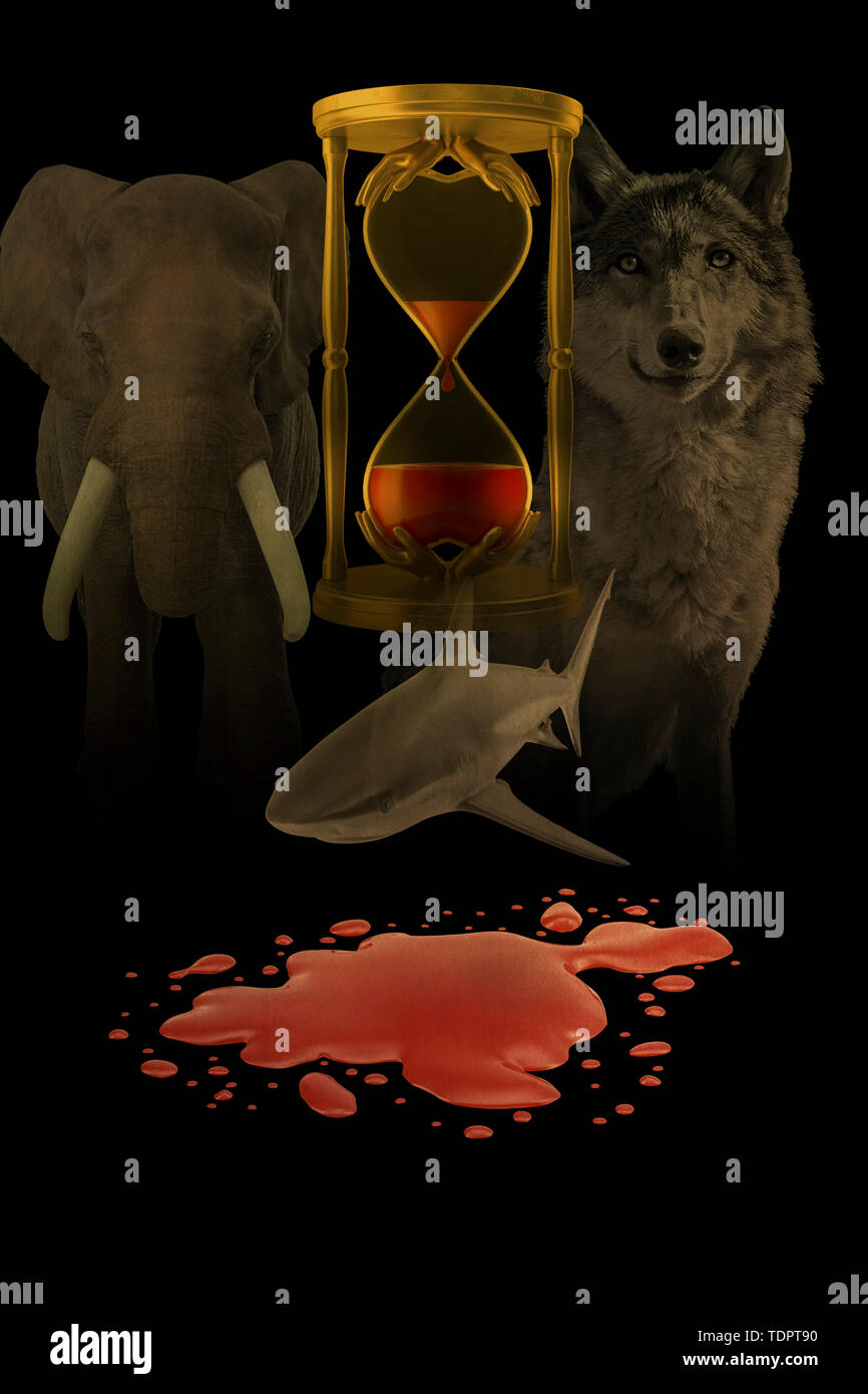 A composite image of an hour glass of blood, surrounded by animals Stock Photo