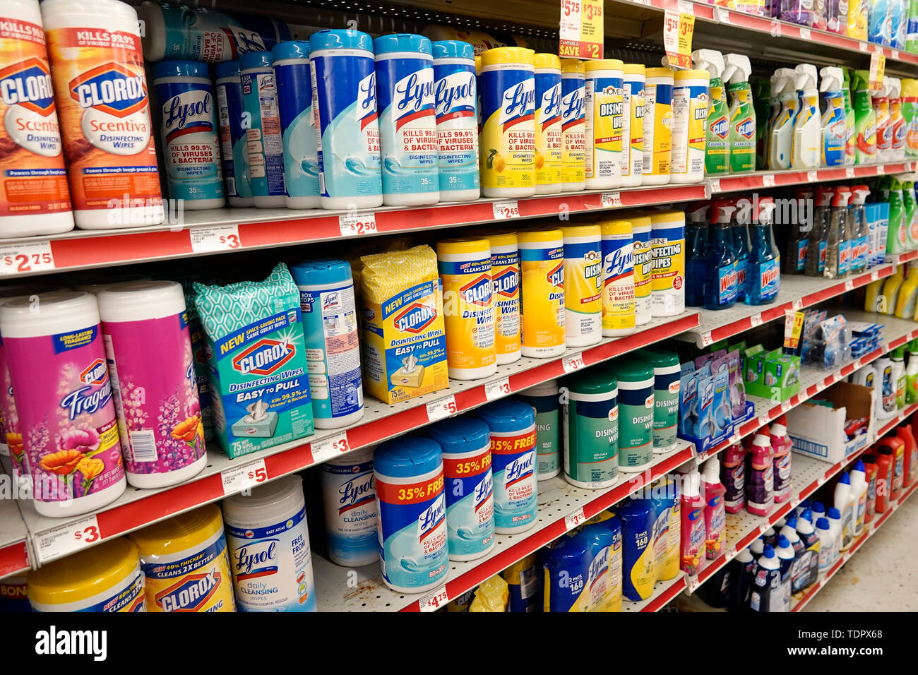 Miami Beach Florida,Family Dollar Store,inside interior,display sale,cleaning products,Clorox,Lysol,anti-bacterial wipes,cleaners,shelf shelves,FL1901 Stock Photo