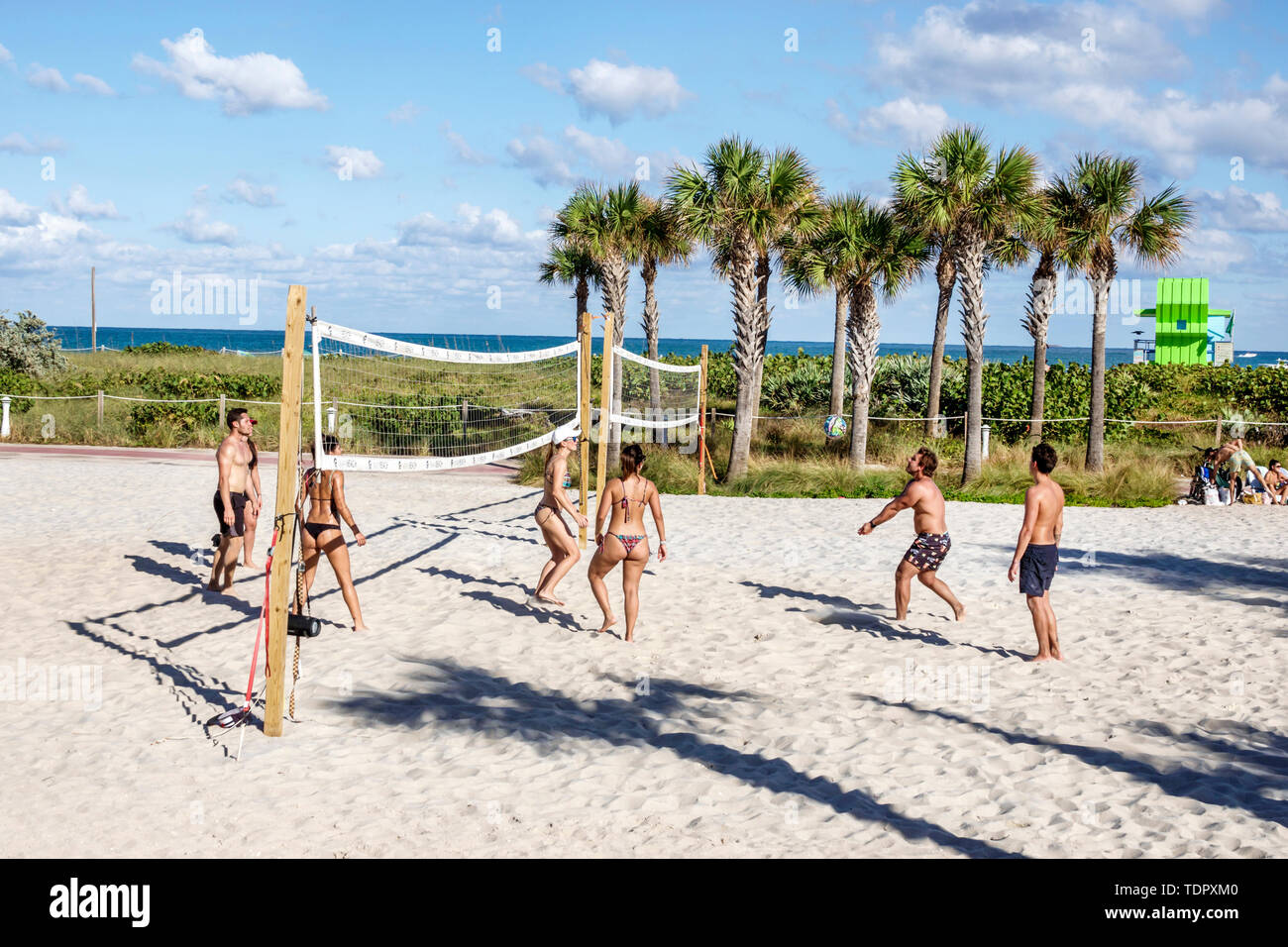 Miami Beach Florida,North Beach,beach volleyball court,sand,playing man,woman female women,young adult,bathing suit,bikini,body image,FL190104063 Stock Photo