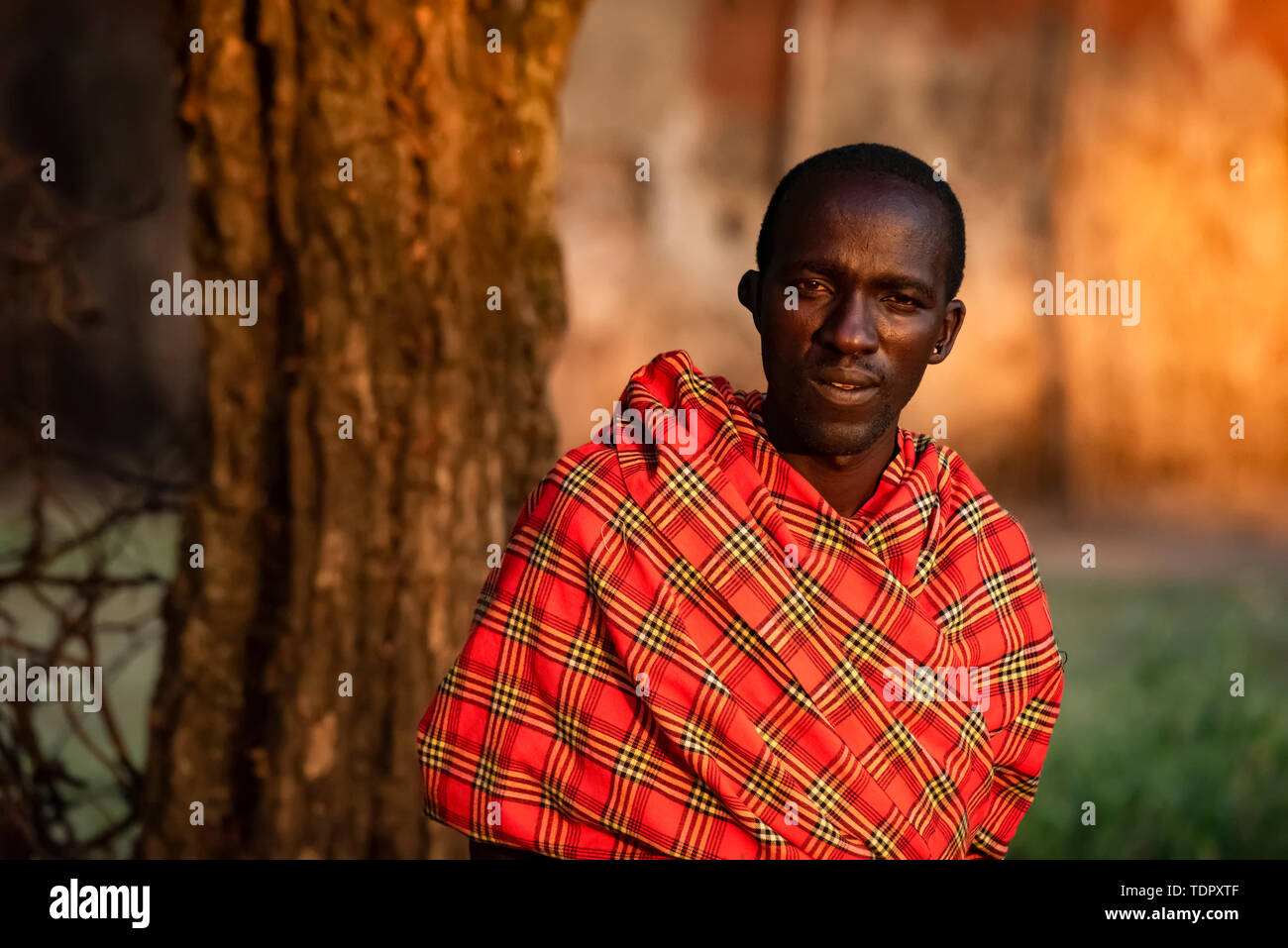 Close-up portrait of Masai man in shuka by tree; Tanzania Stock Photo