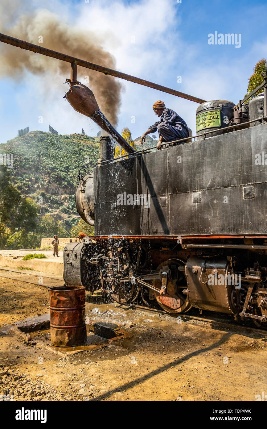 Engineer adding water to the Ansaldo 442 steam locomotive built in 1938, used for transporting cargo from the port city of Massawa to the capital A... Stock Photo