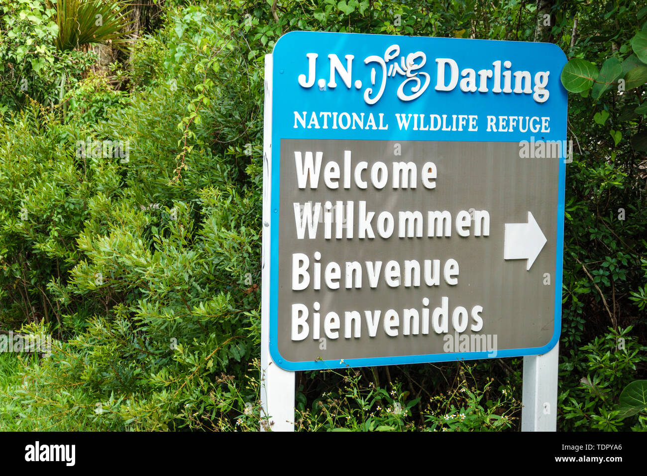 Sanibel Island Florida,J.N. Ding Darling National Wildlife Refuge,al conservation,welcome entrance sign,multi multiple languages,English French German Stock Photo