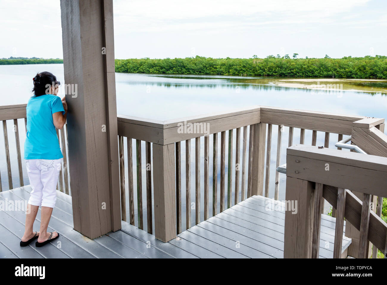 Wildlife viewing tower hi-res stock photography and images - Alamy