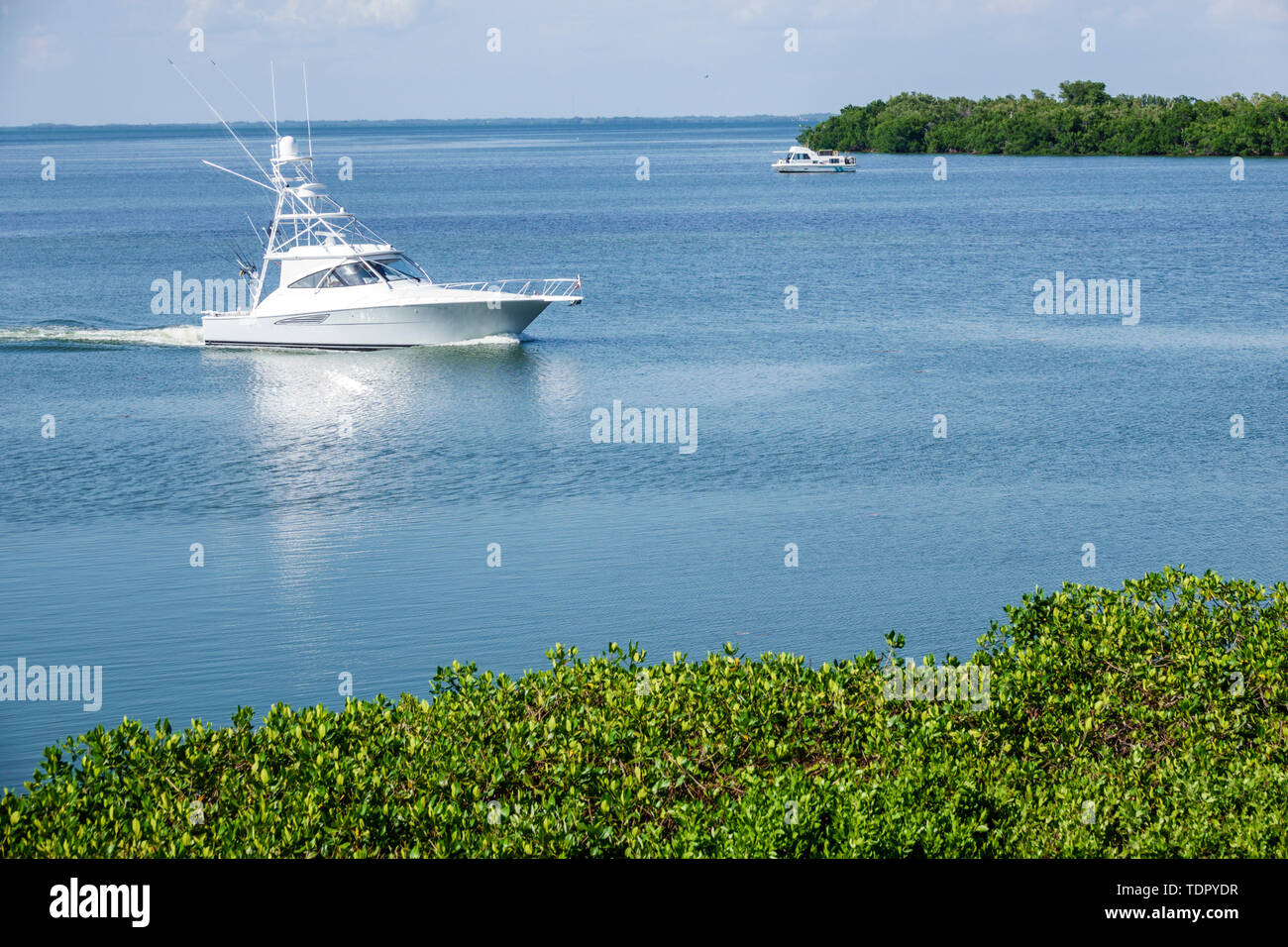 Sanibel Island Florida,Roosevelt Channel Pine Island Sound,coastline vegetation,yacht,flybridge,calm water,FL190507103 Stock Photo