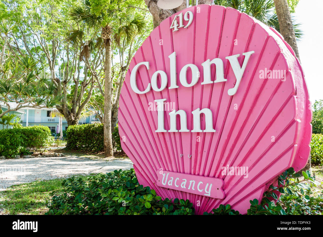 Sanibel Island Florida,Colony Inn,hotel,sign,vacancy,pink,giant shell shaped,FL190508032 Stock Photo