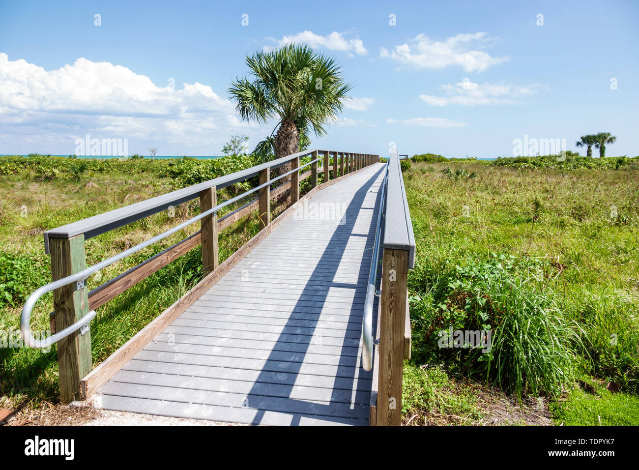 Sanibel Island Florida,Gulf of Mexico Coast,beach,dune,boardwalk,palmetto,FL190508034 Stock Photo