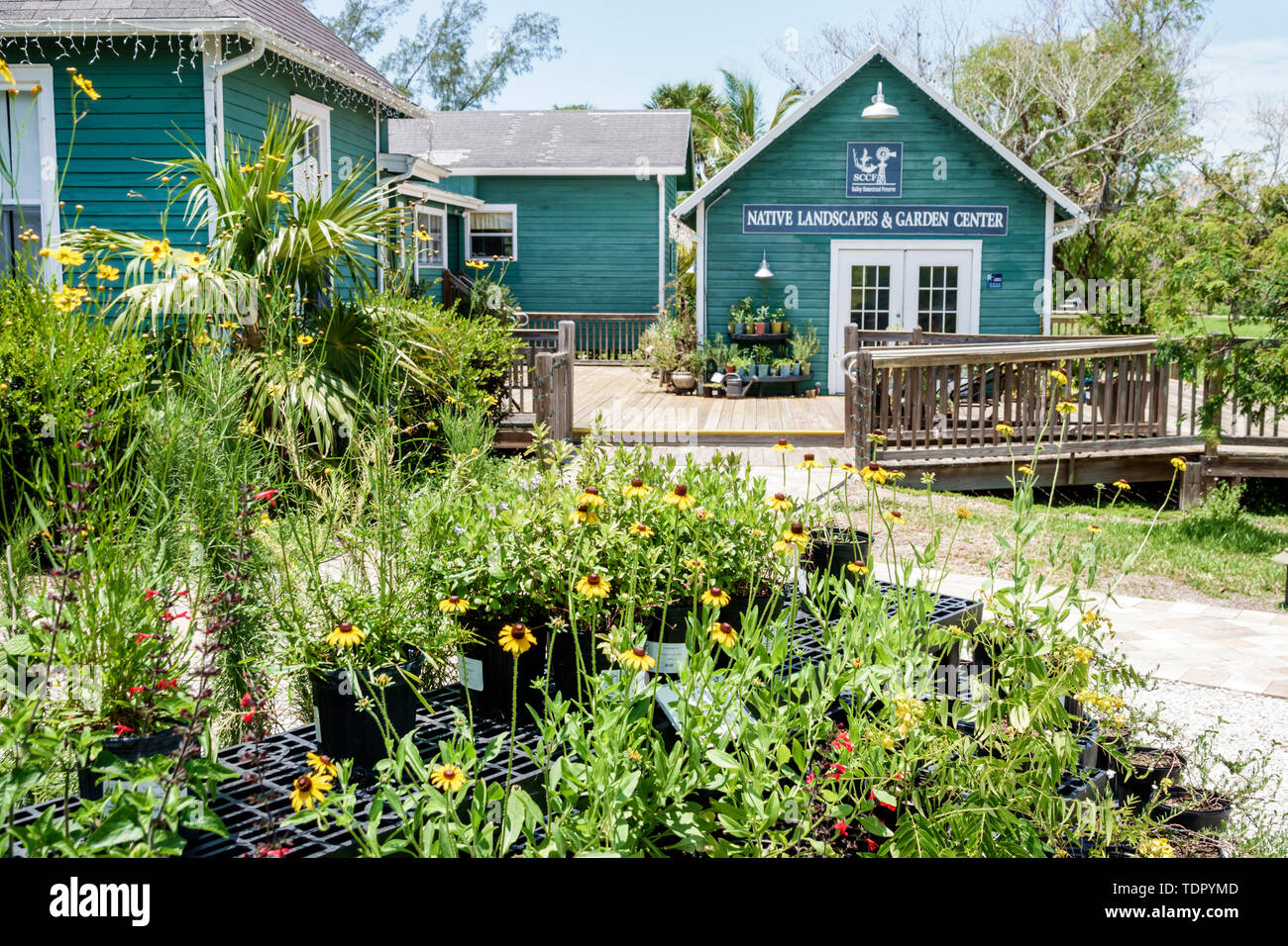 Sanibel Island Florida Bailey Homestead Preserve Sanibel Captiva Conservation Foundation Sccf Native Landscapes Garden Center Centre Plant Sale Fl19 Stock Photo Alamy