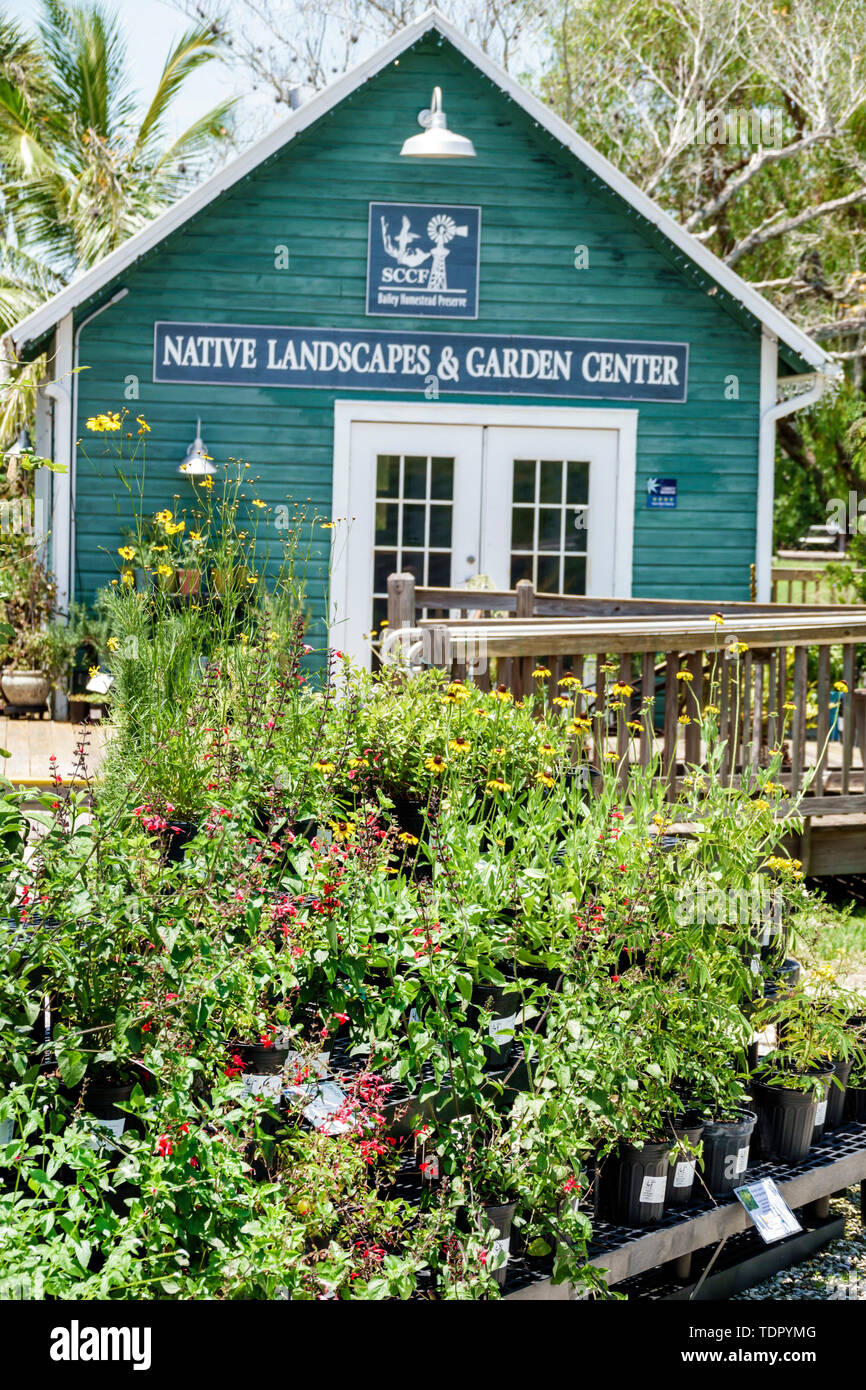 Sanibel Island Florida Bailey Homestead Preserve Sanibel Captiva Conservation Foundation Sccf Native Landscapes Garden Center Centre Plant Sale Fl19 Stock Photo Alamy