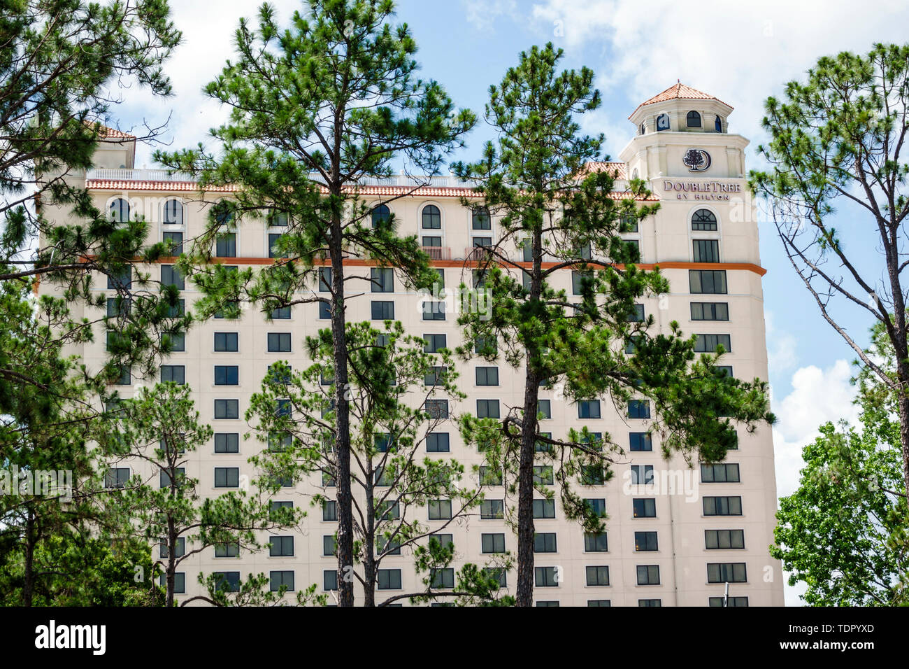 Orlando Florida,Doubletree by Hilton Hotel Orlando at SeaWorld,hotel,building exterior,high-rise,pine trees,FL190512006 Stock Photo