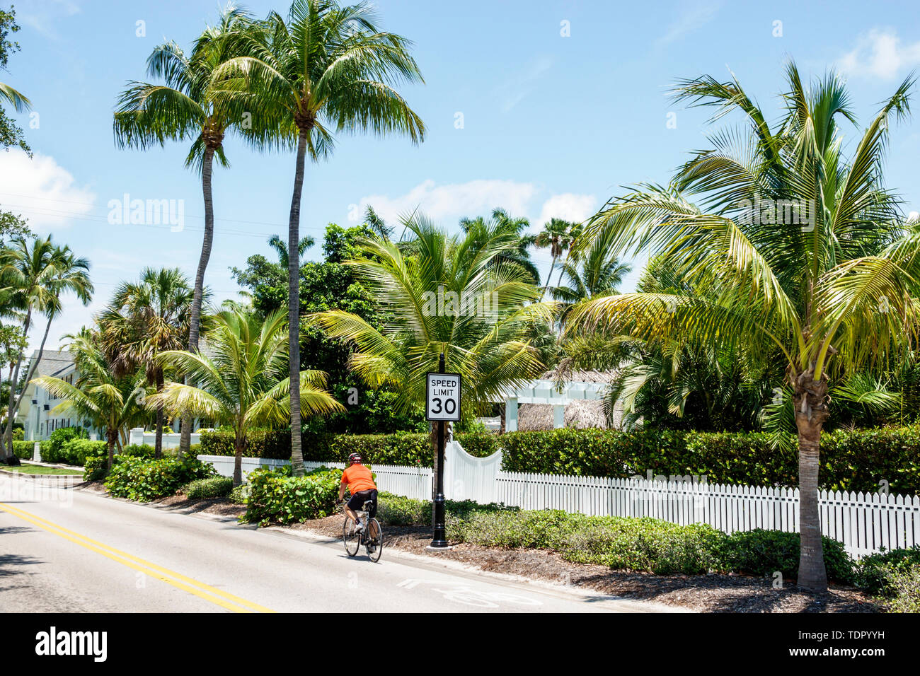 Naples Florida,neighborhood street,man men male,bicycle bicycles bicycling riding biking rider riders bike bikes,white picket fence,palm trees,FL19051 Stock Photo