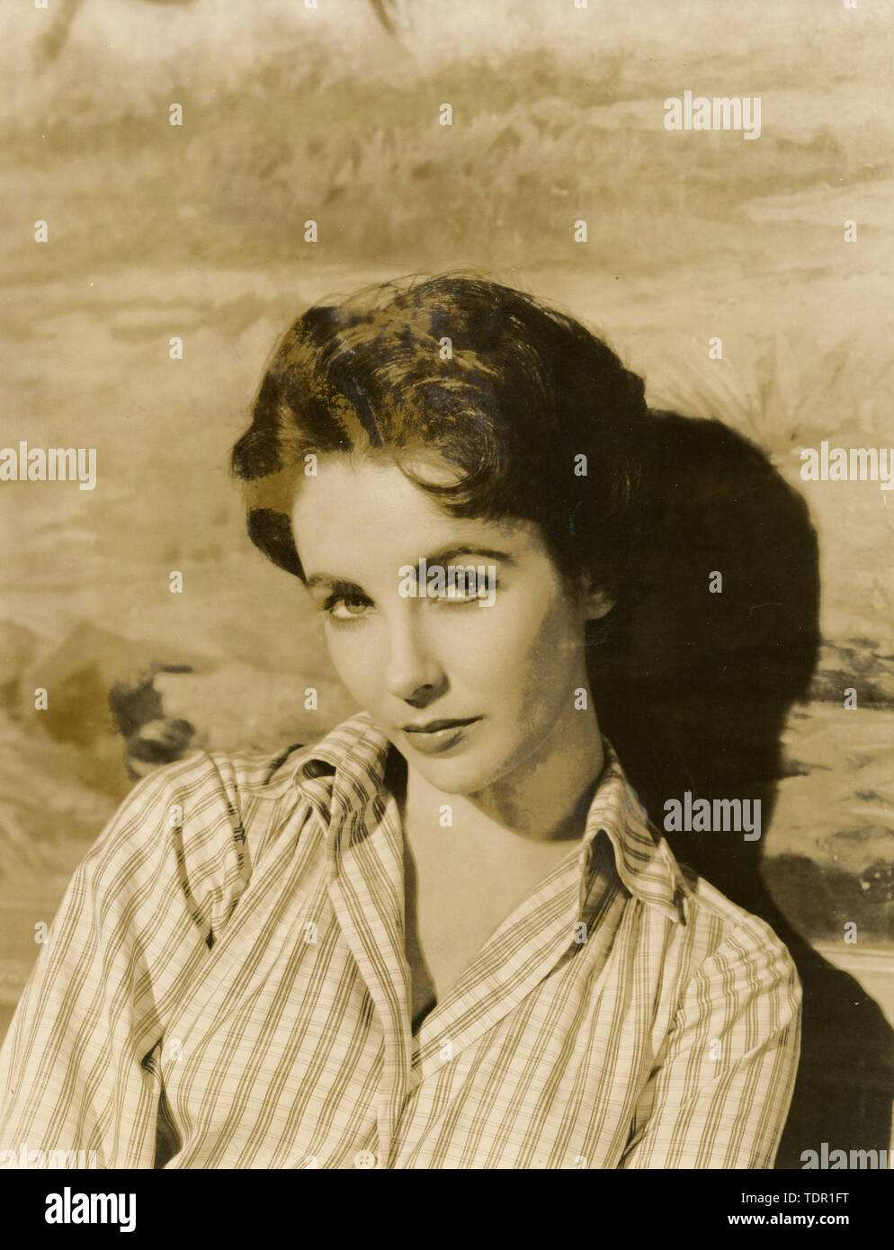 Elizabeth taylor portrait hi-res stock photography and images - Alamy