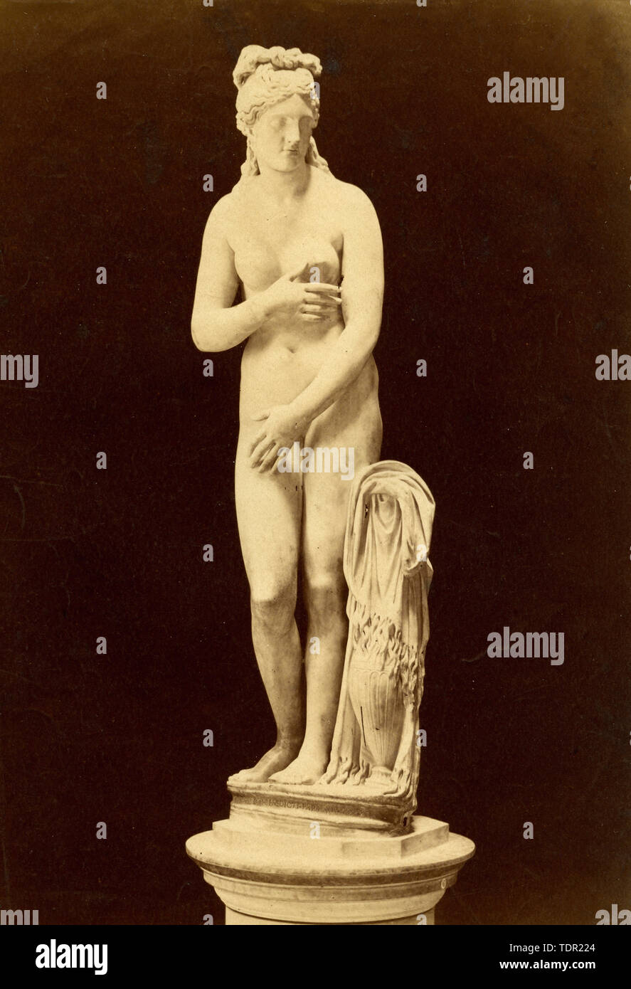 AN ITALIAN MARBLE FIGURE OF THE CALLIPYGIAN VENUS