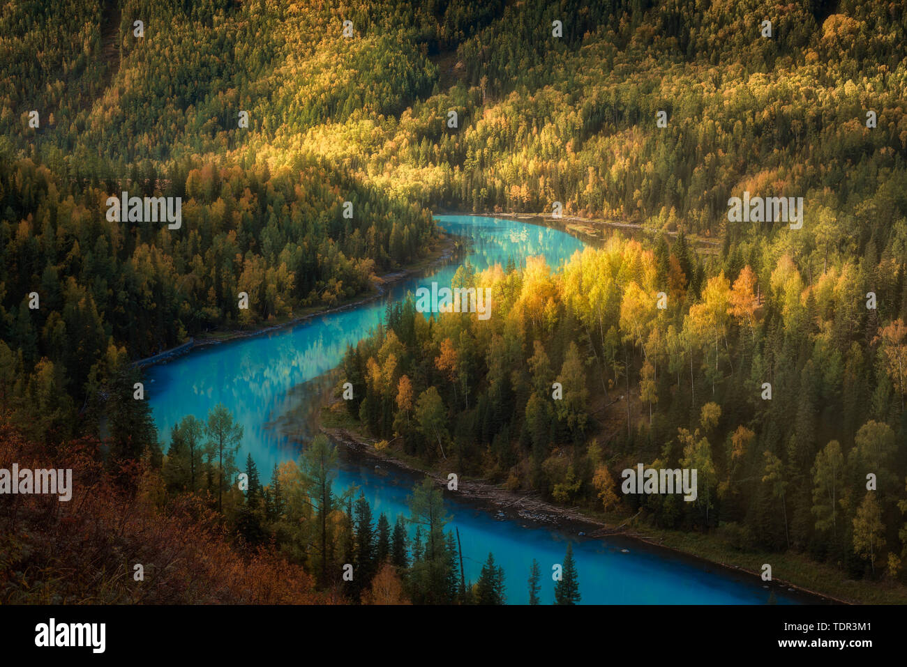 No one landscapes autumn trees outdoor trees dawn hi-res stock ...