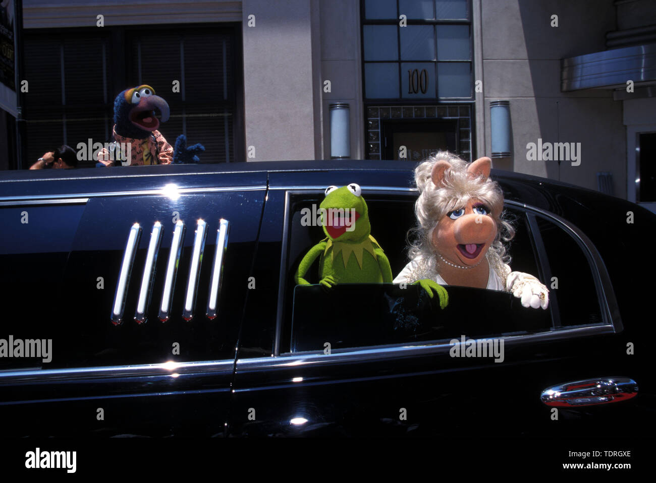 KERMIT The Frog & MISS PIGGY 'Muppets in Space' movie premiere